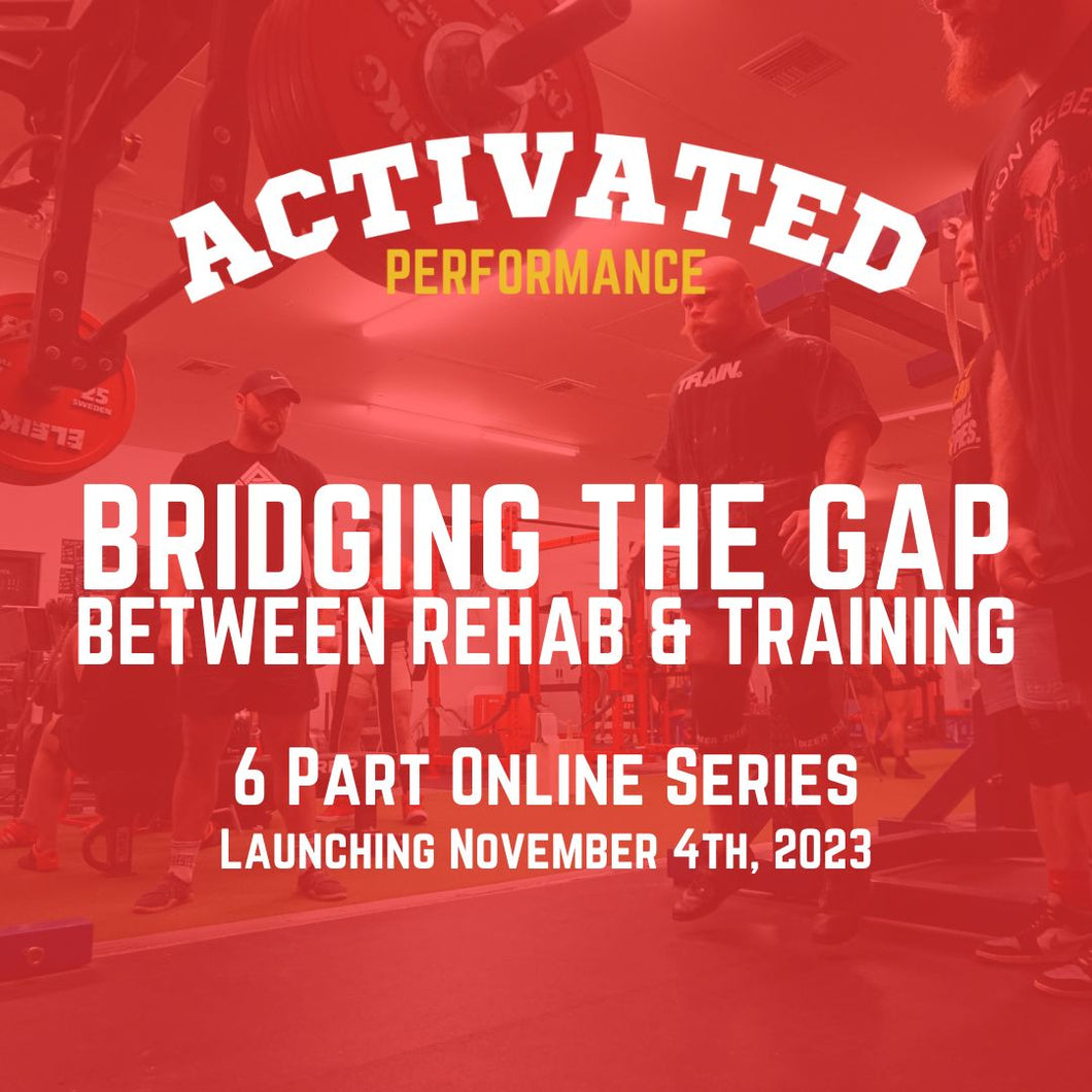 Bridging the Gap Between Rehab & Training NOVEMBER 2023